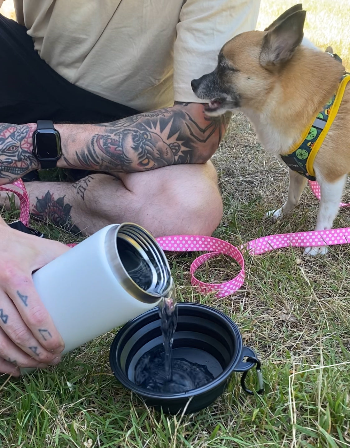 Collapsible Dog Travel Bowl – Lightweight, Durable & Easy to Carry