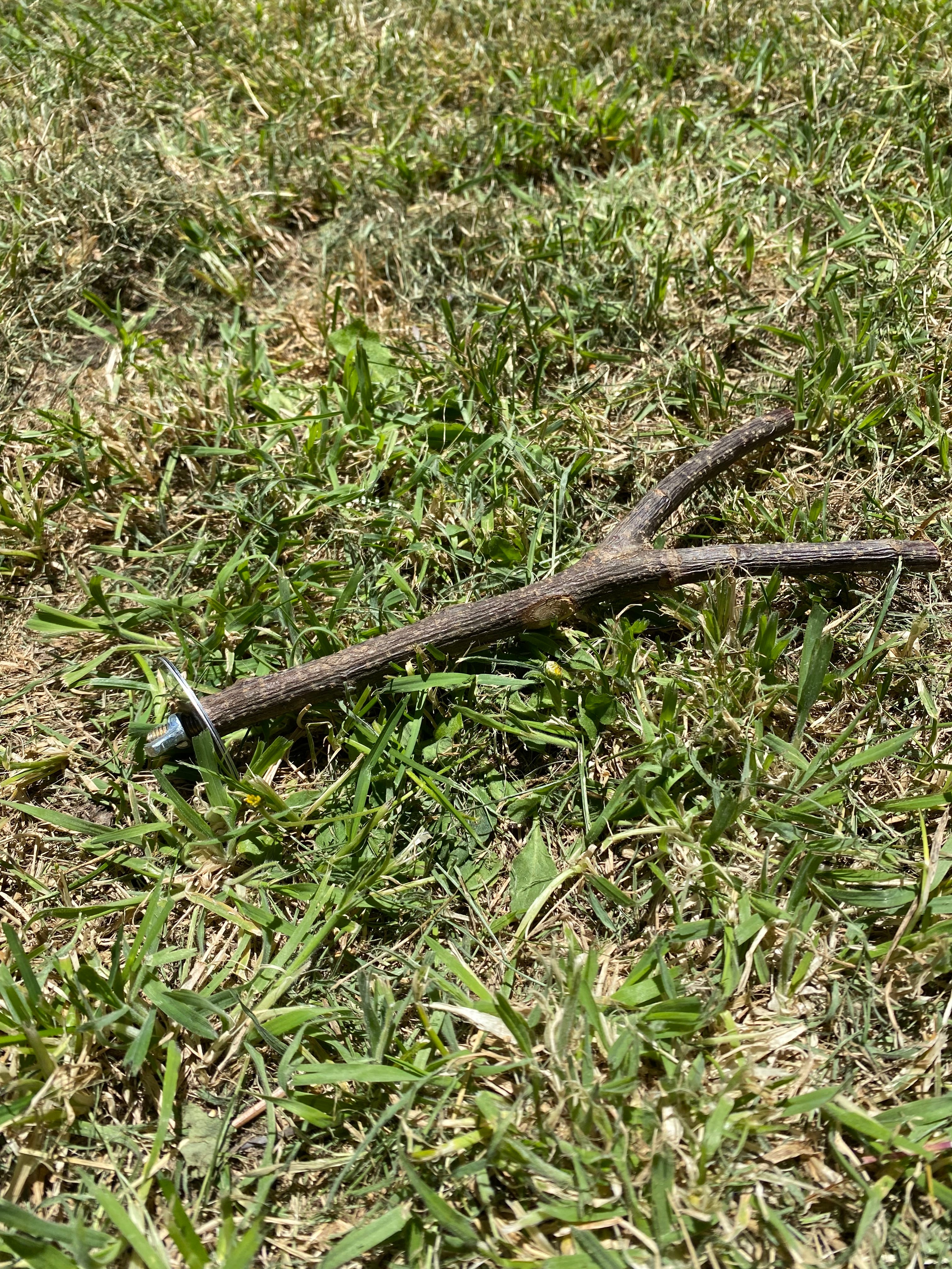 Natural tree branch bird perch- Cage climbing & Chew stick