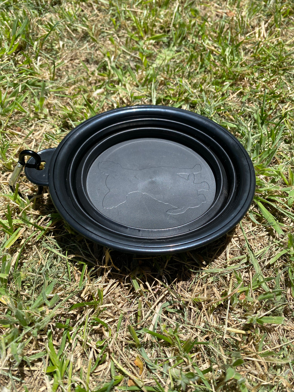 Collapsible Dog Travel Bowl – Lightweight, Durable & Easy to Carry