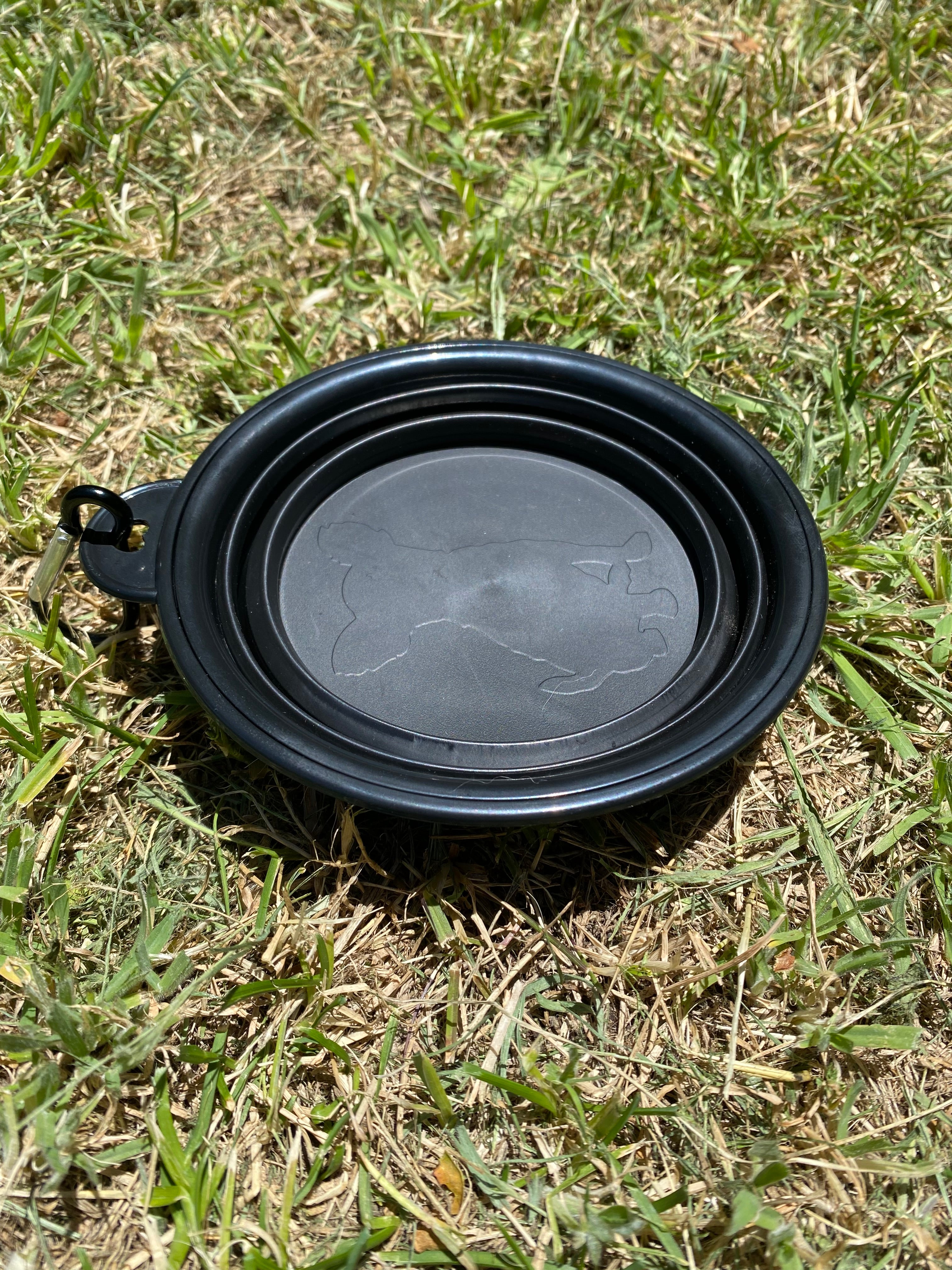 Collapsible Dog Travel Bowl – Lightweight, Durable & Easy to Carry