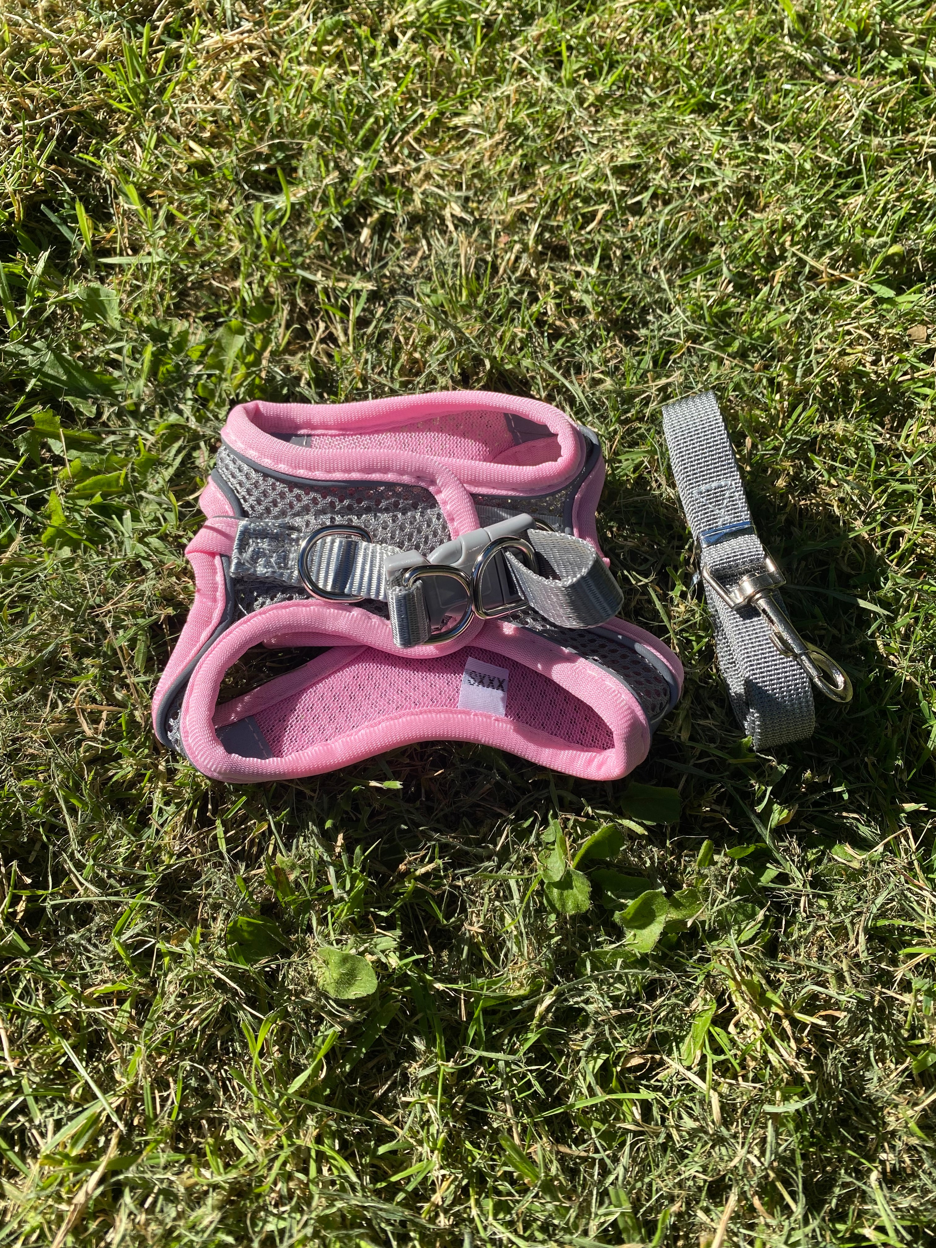 Reflective Dog Harness & Lead Set – Comfortable, Secure & Breathable