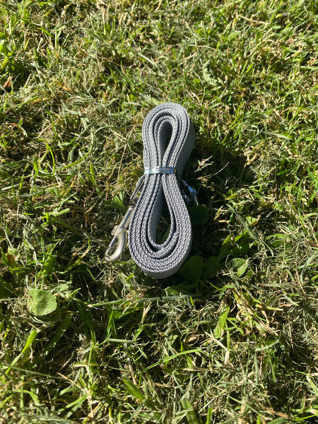 Reflective Dog Harness & Lead Set – Comfortable, Secure & Breathable