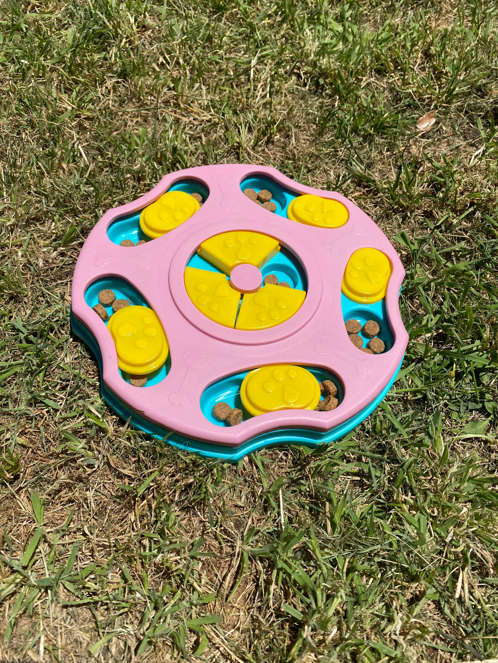 Interactive Dog Puzzle Slow Feeder – Fun, Enriching & Rewarding