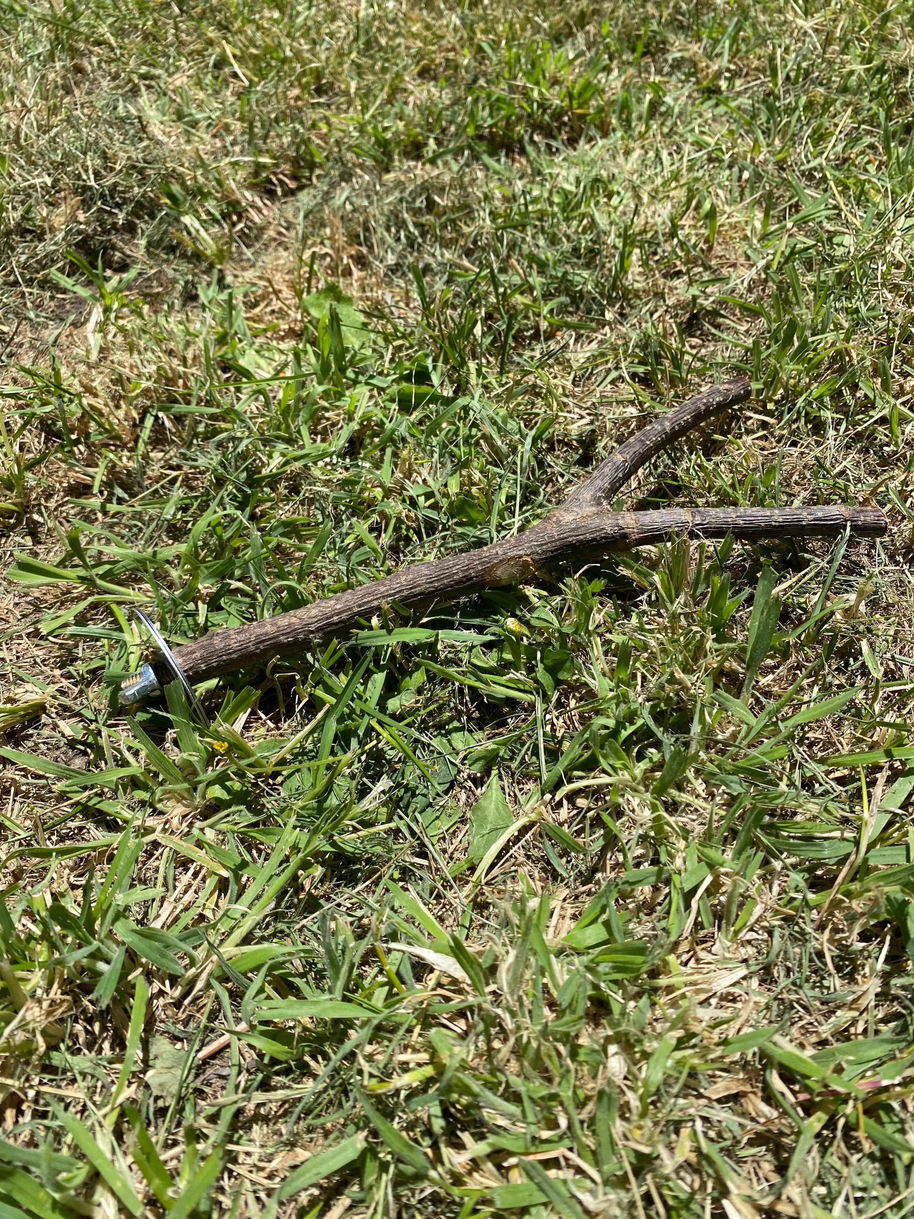 Natural tree branch bird perch- Cage climbing & Chew stick