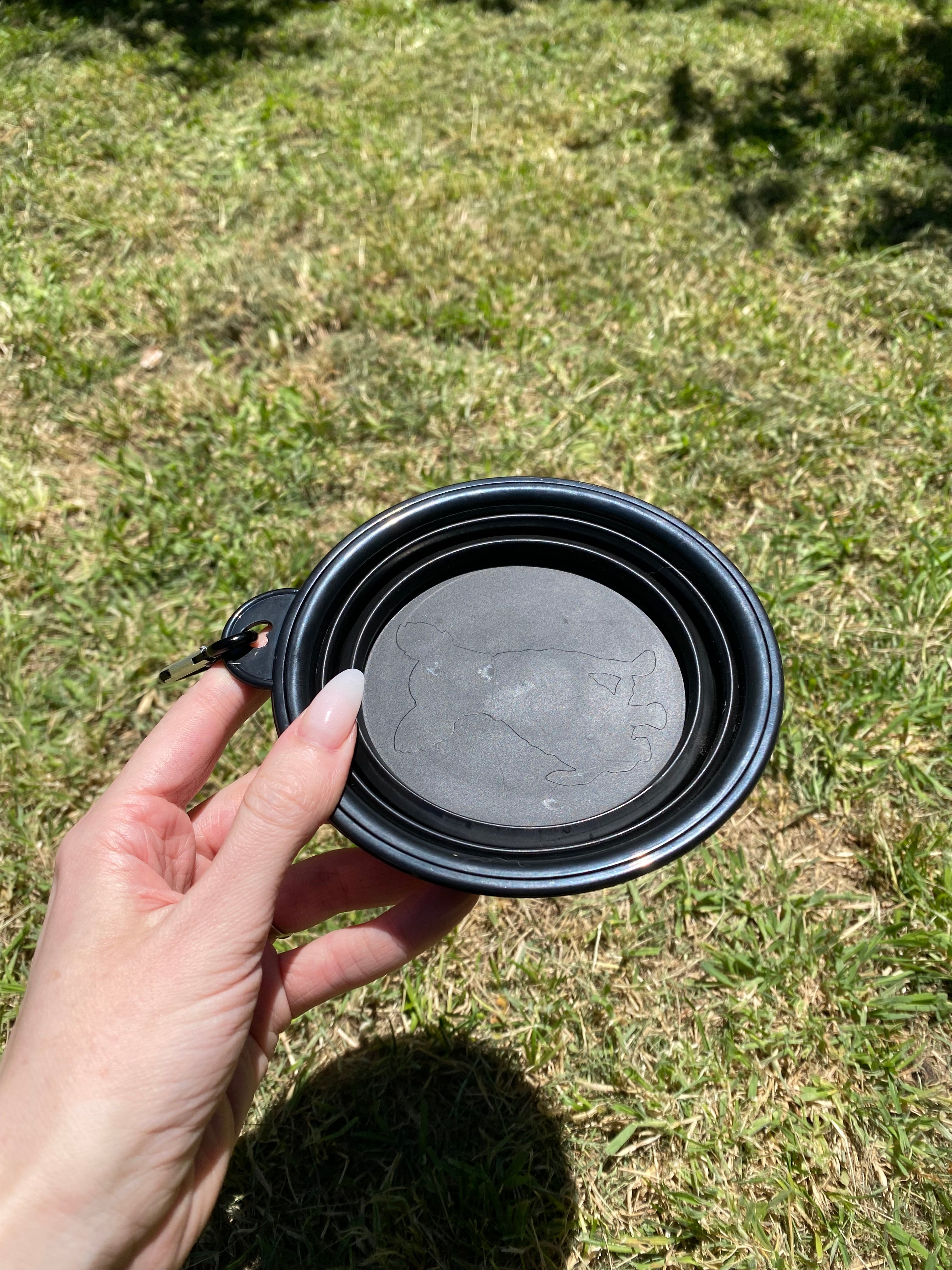 Collapsible Dog Travel Bowl – Lightweight, Durable & Easy to Carry