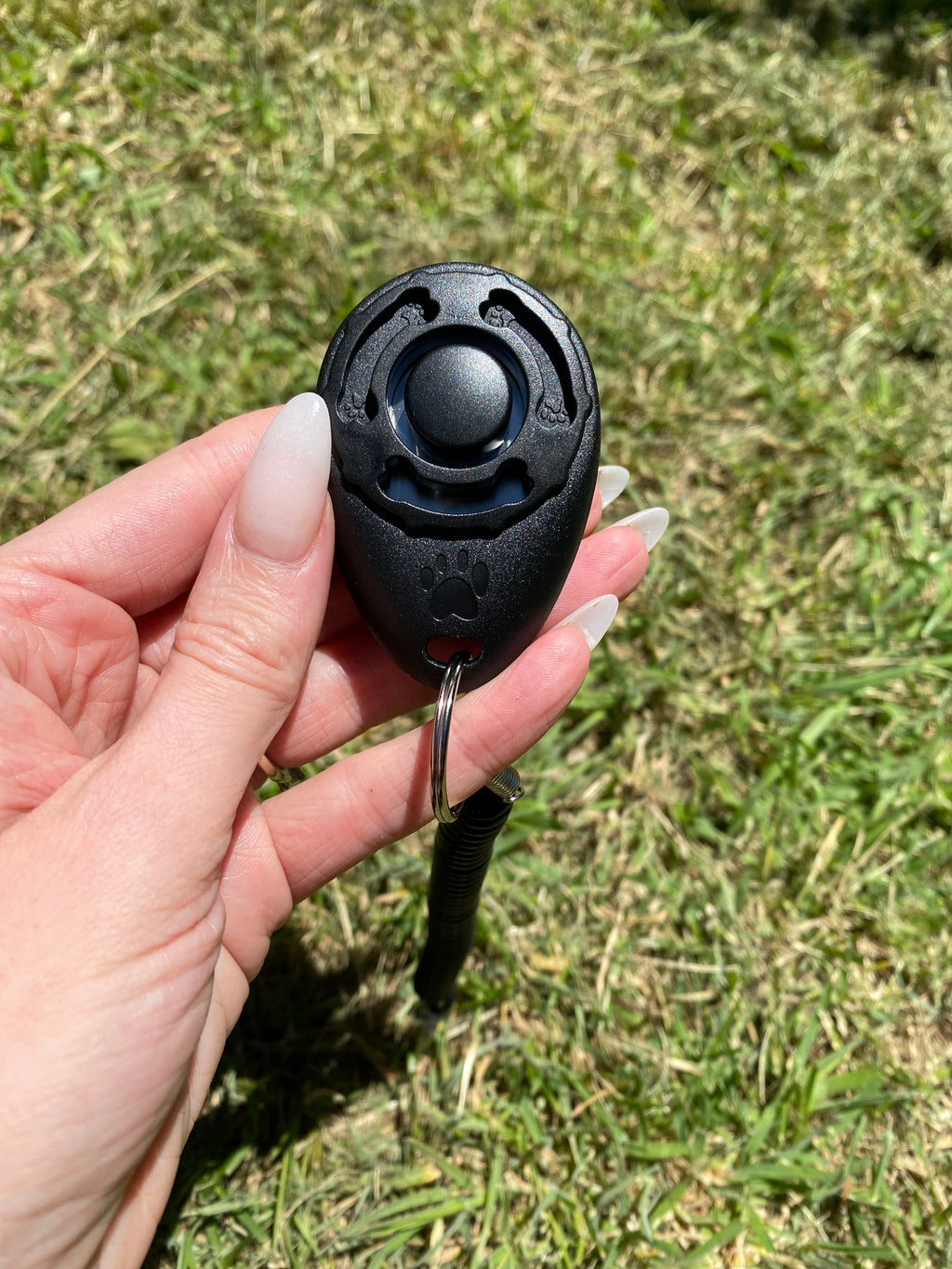 Dog Training Clicker with Wrist Strap – Simple, Reliable & Effective