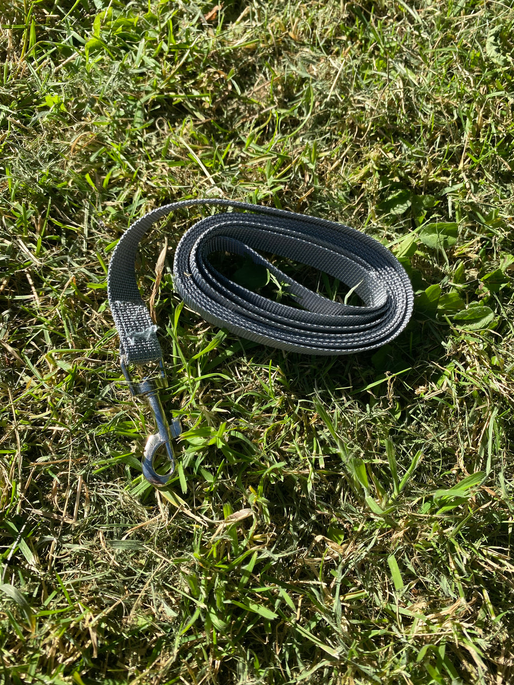 Reflective Dog Harness & Lead Set – Comfortable, Secure & Breathable