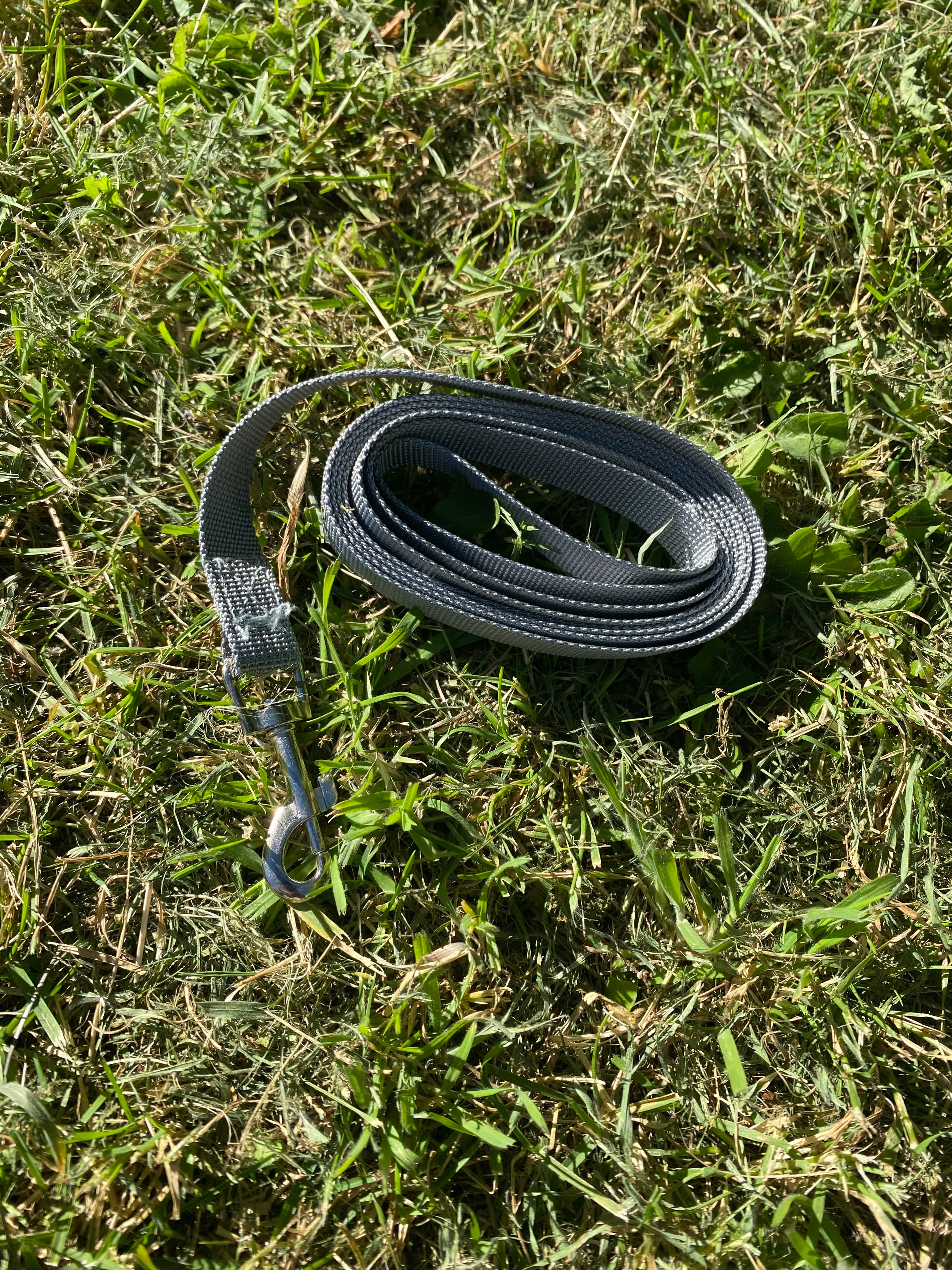 Reflective Dog Harness & Lead Set – Comfortable, Secure & Breathable