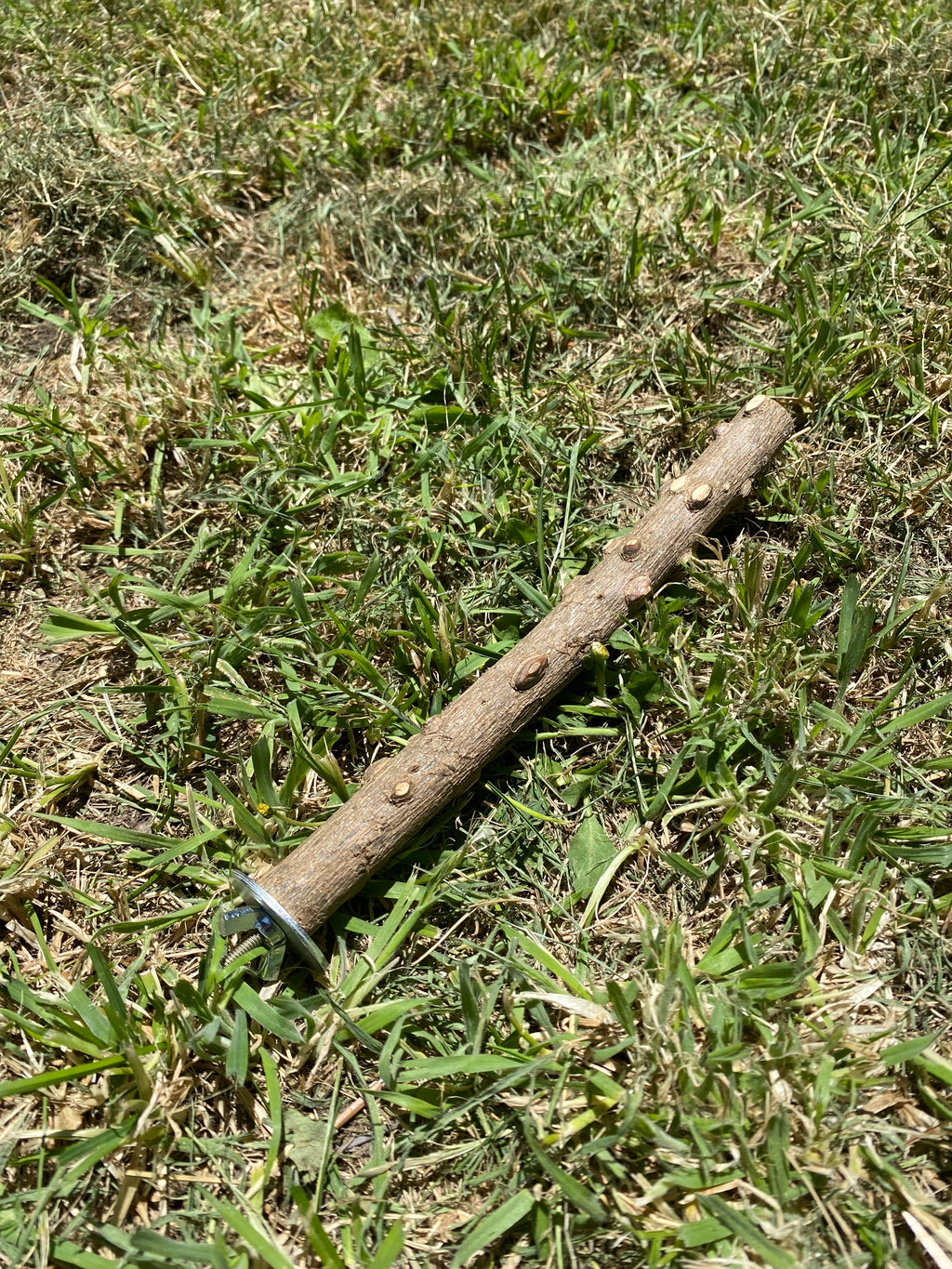 Natural wood bird perch & Chew stick- Fun, safe and enriching.