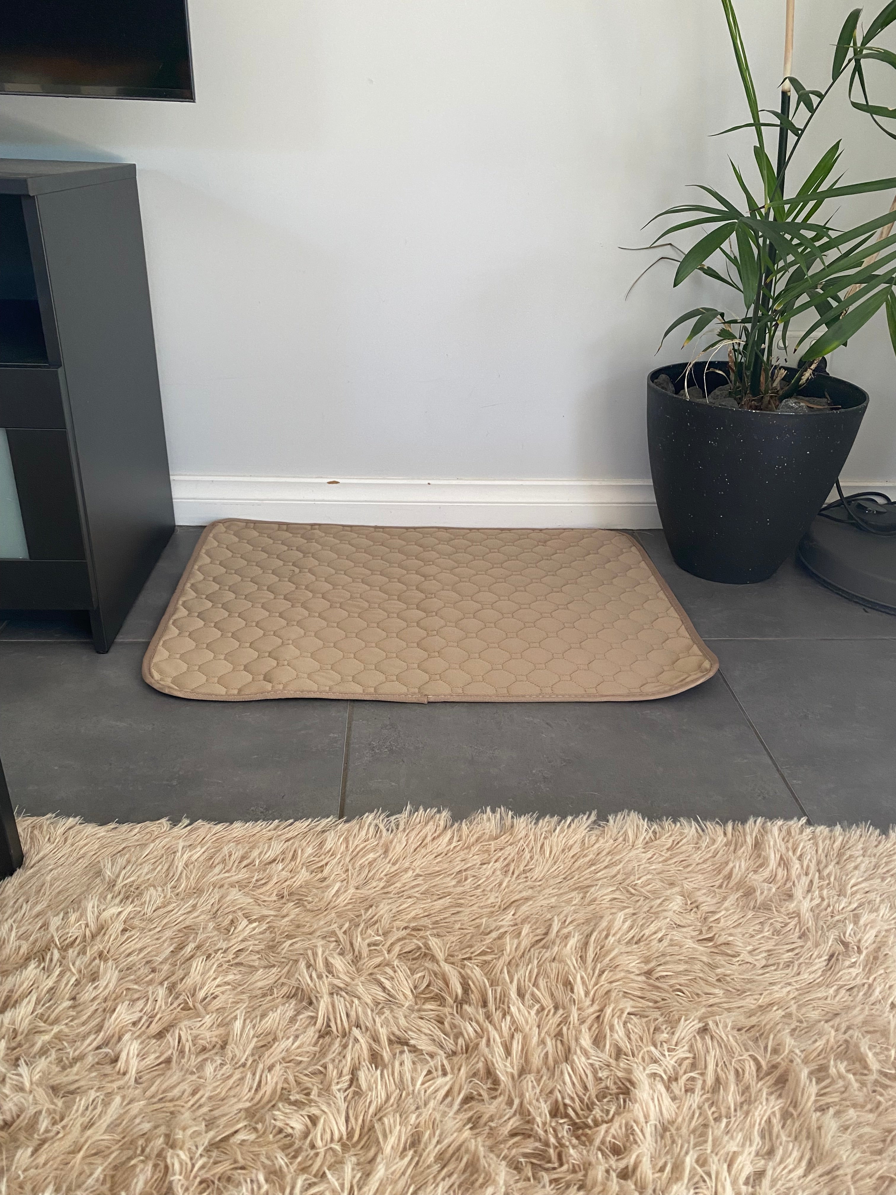 Washable Dog Training Pad – Reusable, Absorbent & Non-Slip