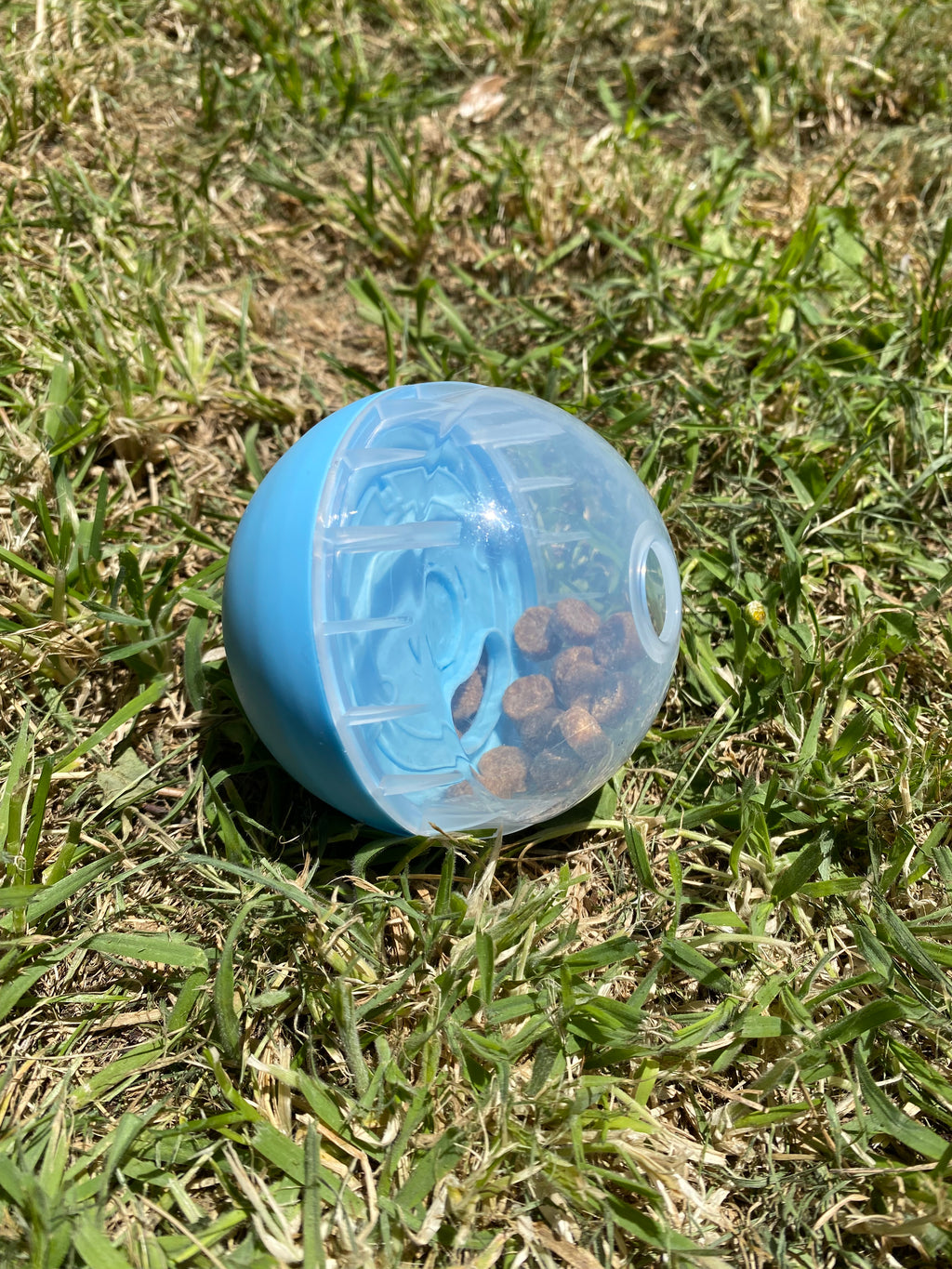 IQ Treat Ball Dog Toy – Engaging, Rewarding & Mentally Stimulating