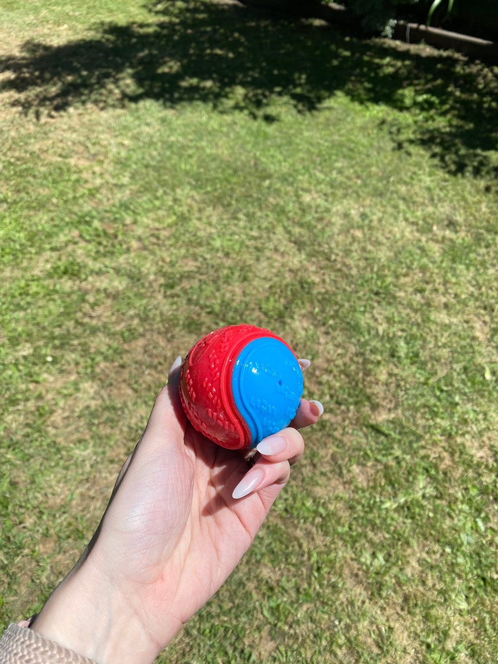 Soft Rubber Squeaky Dog Ball – Durable, Fun & Engaging