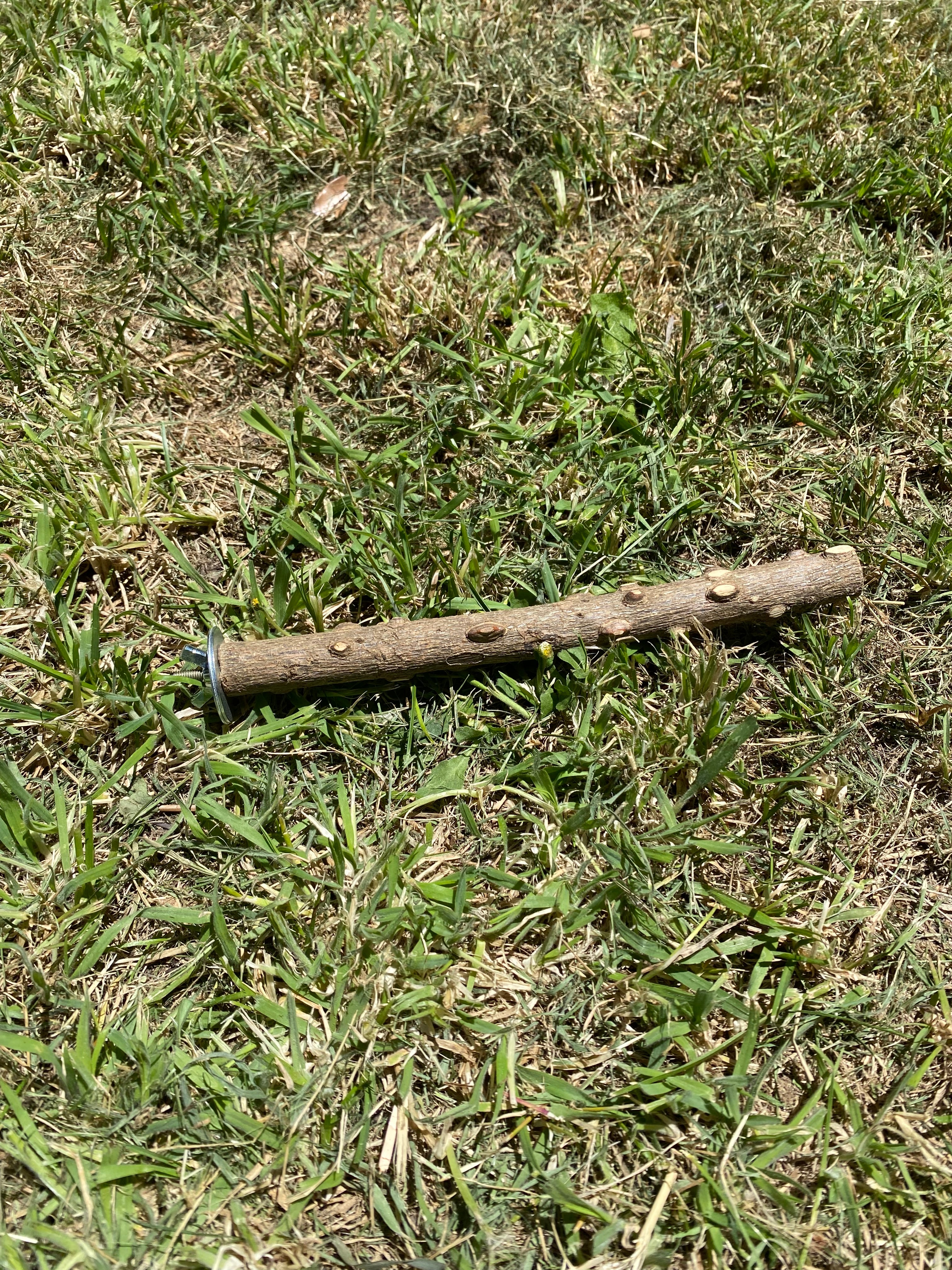 Natural wood bird perch & Chew stick- Fun, safe and enriching.