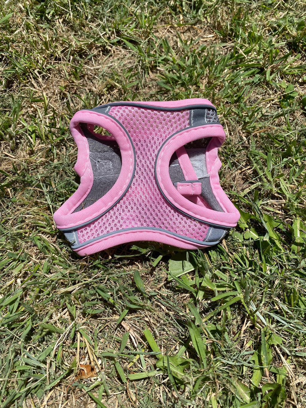 Reflective Dog Harness & Lead Set – Comfortable, Secure & Breathable