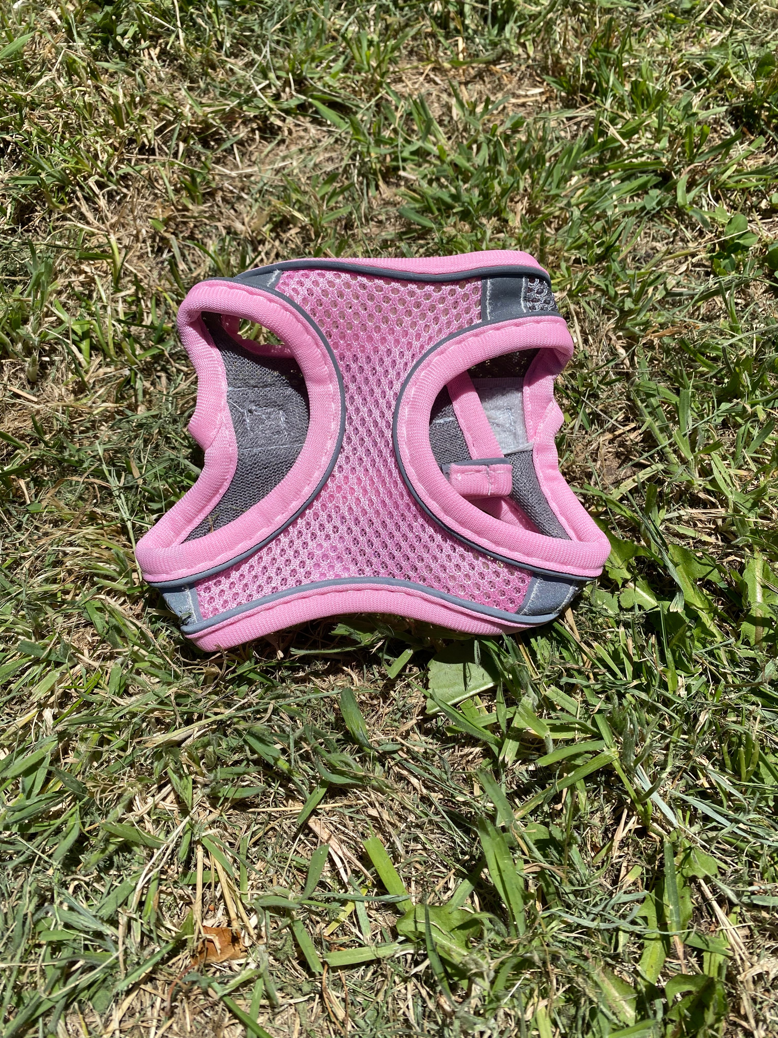 Reflective Dog Harness & Lead Set – Comfortable, Secure & Breathable