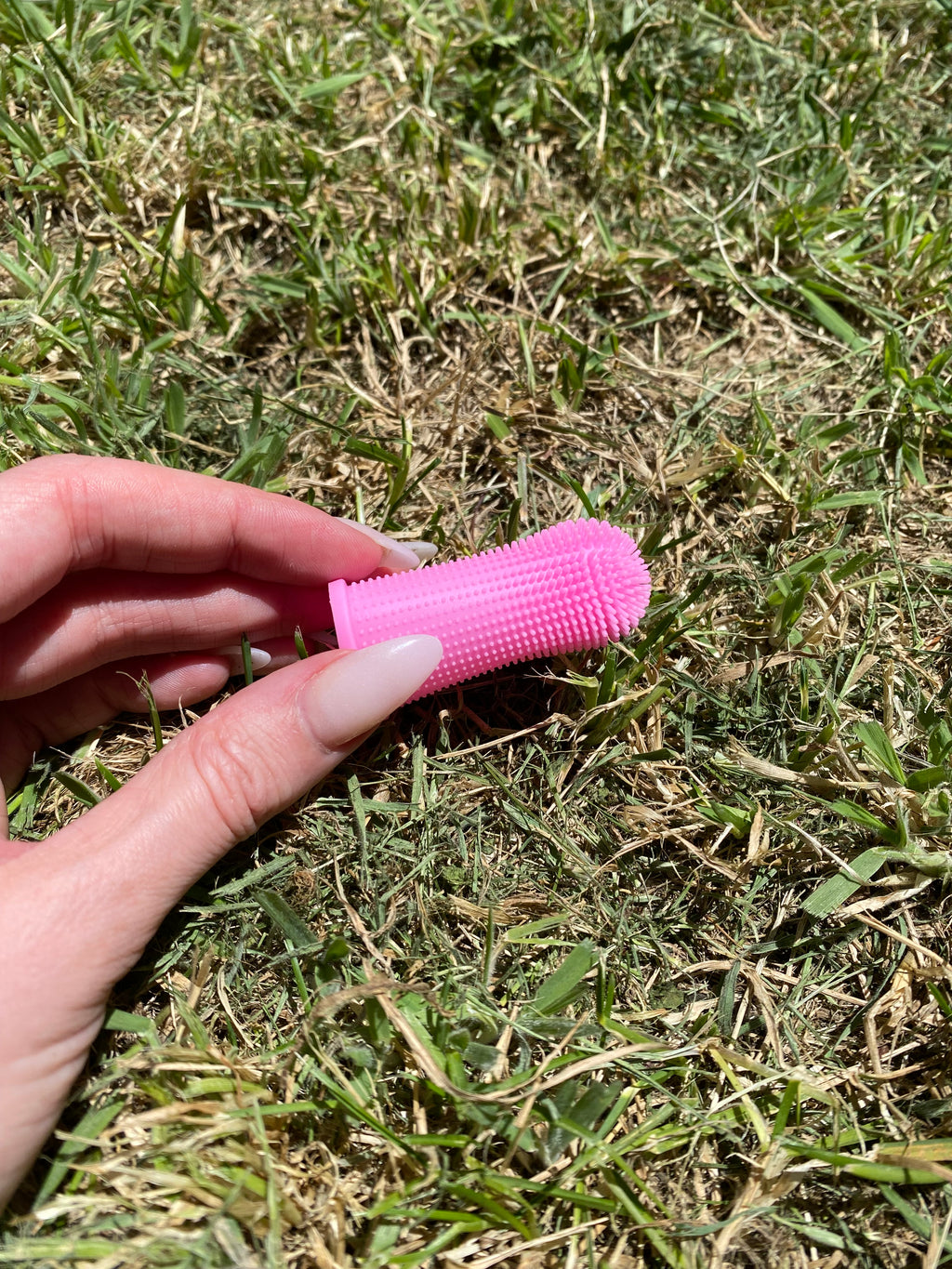 Silicone Finger Toothbrush for Dogs – Gentle, Simple & Effective