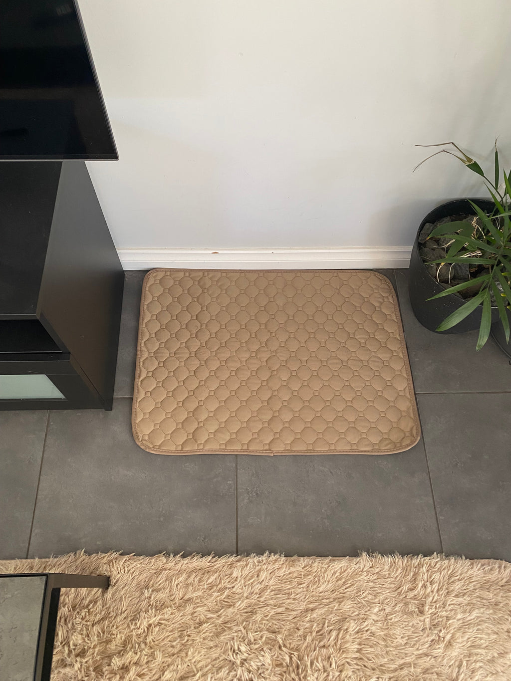 Washable Dog Training Pad – Reusable, Absorbent & Non-Slip