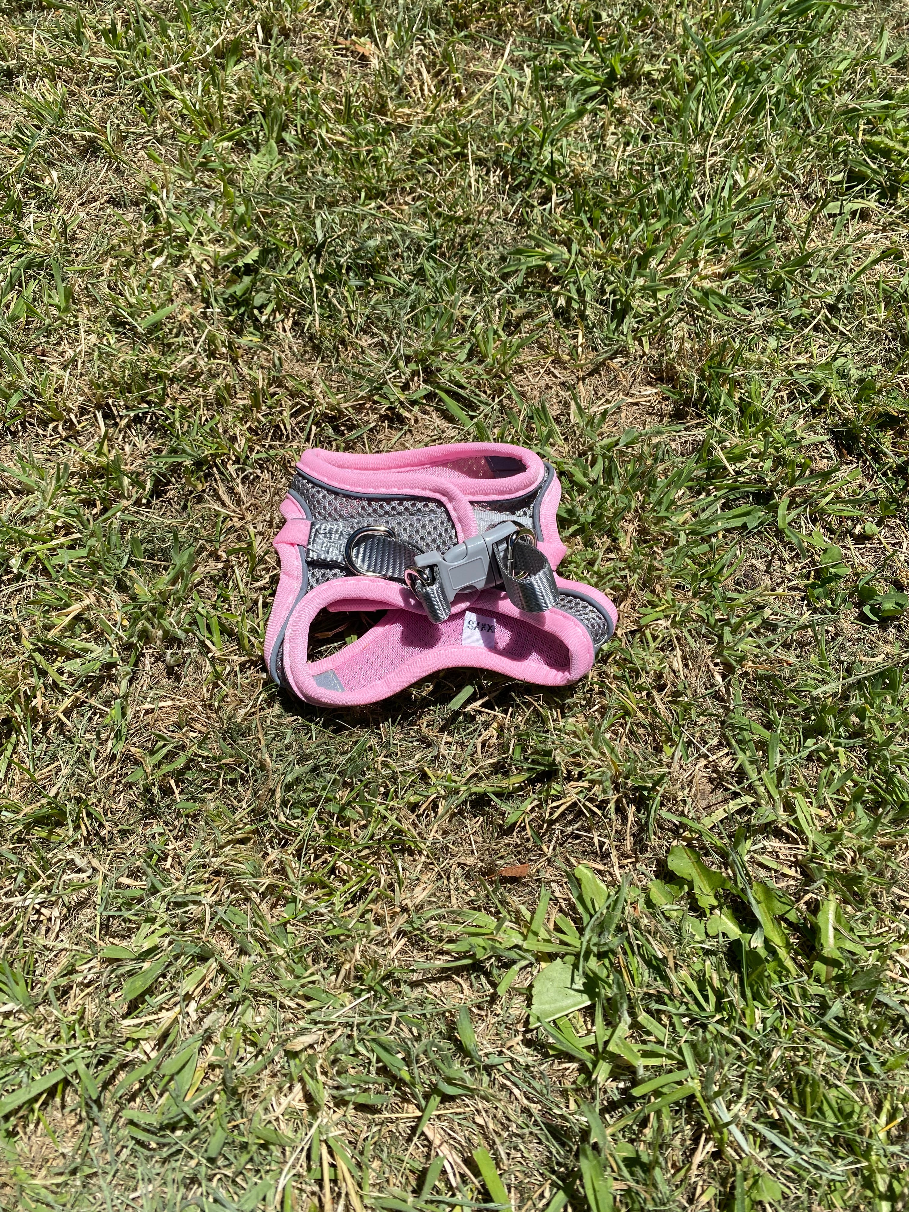 Reflective Dog Harness & Lead Set – Comfortable, Secure & Breathable