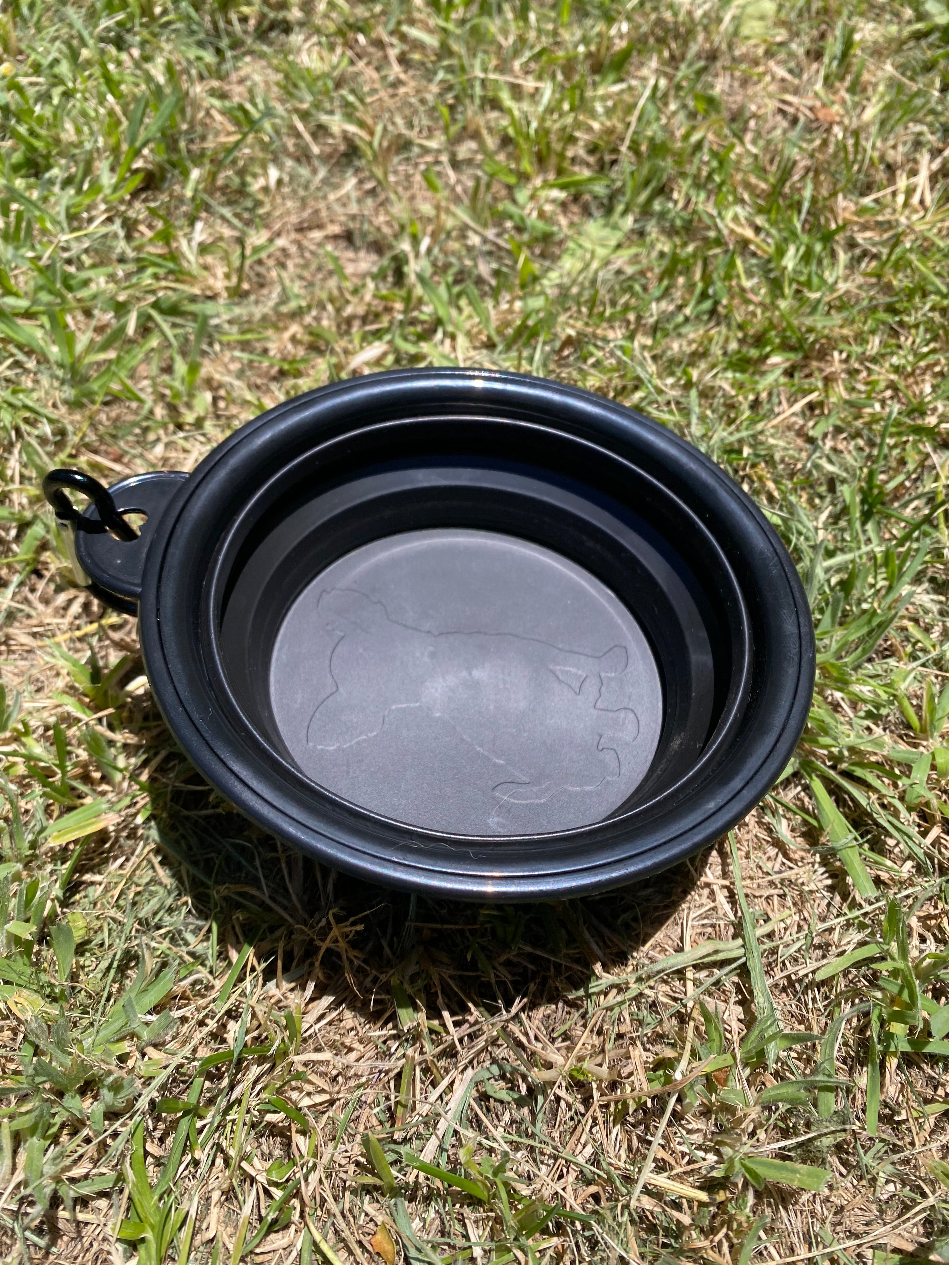 Collapsible Dog Travel Bowl – Lightweight, Durable & Easy to Carry