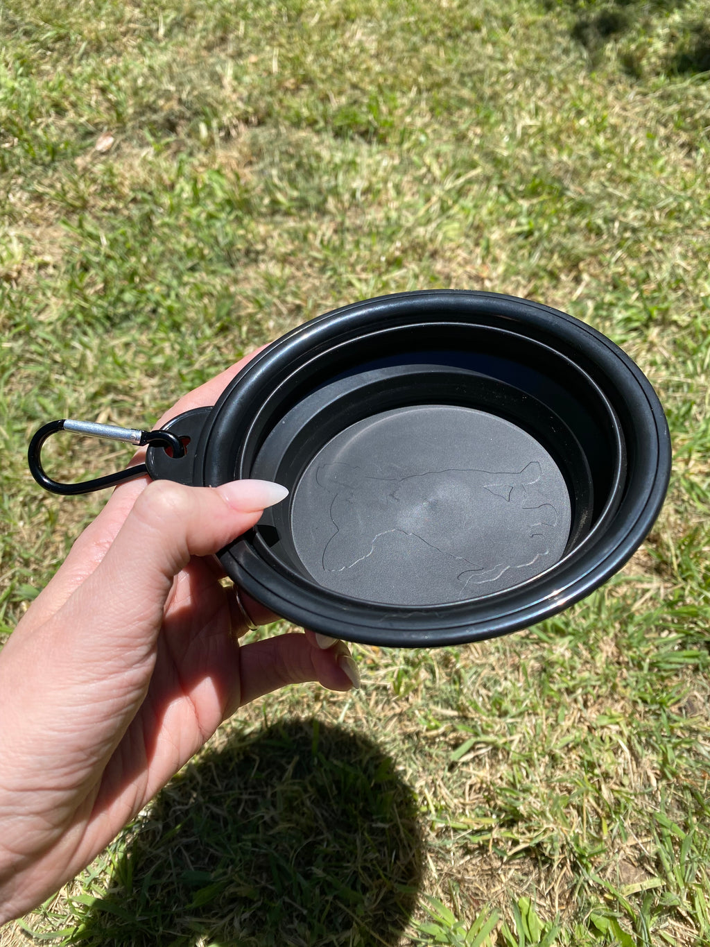 Collapsible Dog Travel Bowl – Lightweight, Durable & Easy to Carry