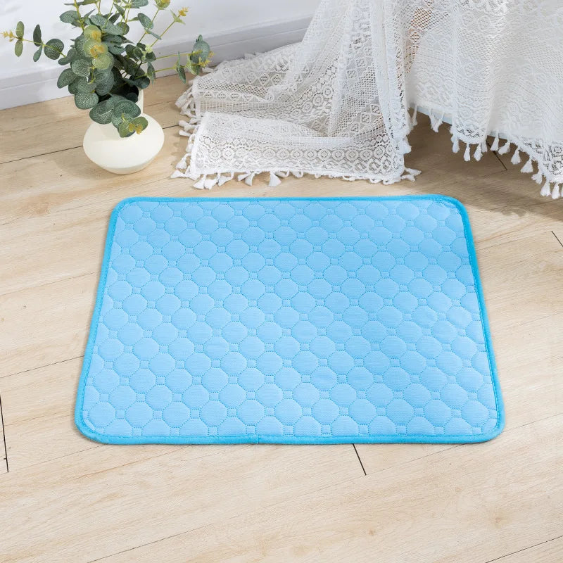 Washable Dog Training Pad – Reusable, Absorbent & Non-Slip