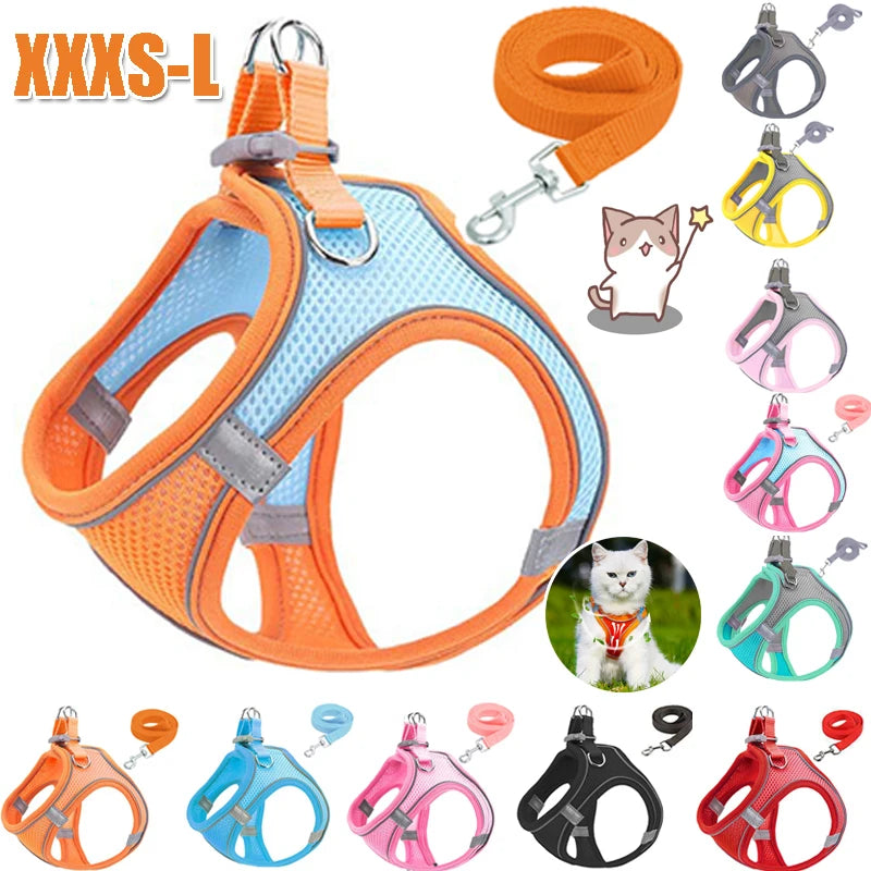 Reflective Dog Harness & Lead Set – Comfortable, Secure & Breathable